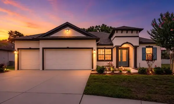 11026 Brahman Ranch Circle, Riverview, FL, 33578