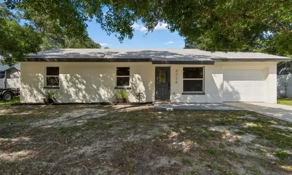 3725 Ambermist Drive, Tampa, FL, 33619