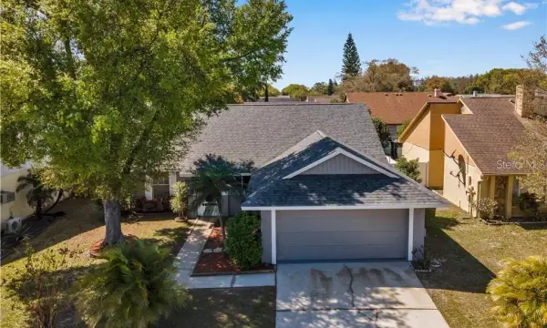 7110 Hollowell Drive, Tampa, FL, 33634
