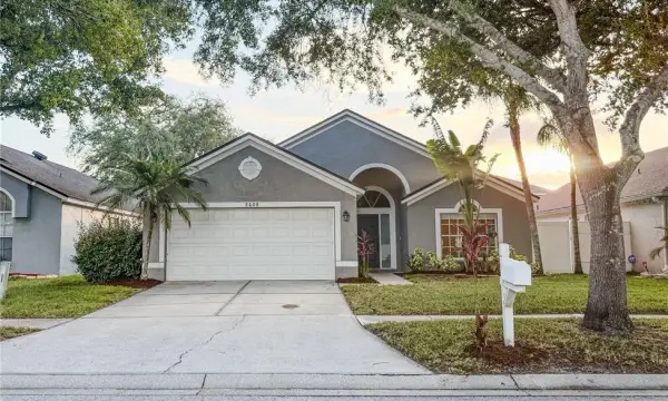 8608 Fawn Creek Drive, Tampa, FL, 33626