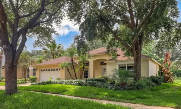 10110 Whisper Pointe Drive, Tampa, FL, 33647