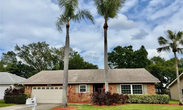 999 Gillespie Drive, Palm Harbor, FL, 34684