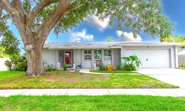 135 Patty Ann Boulevard, Palm Harbor, FL, 34683