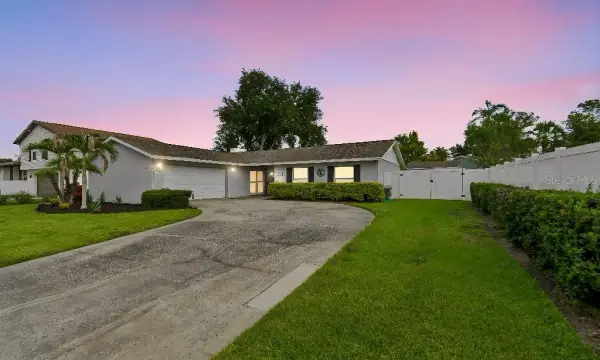 4009 Mountain Springs Lane, Tampa, FL, 33624