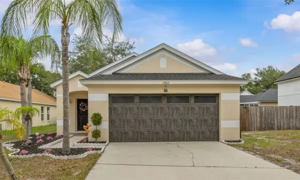 10611 Lakeside Vista Drive, Riverview, FL, 33569
