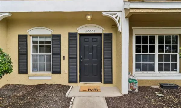 30005 Granda Hills Court, Wesley Chapel, FL, 33543