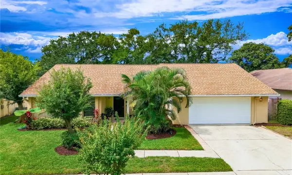 341 Arbor Drive W, Palm Harbor, FL, 34683