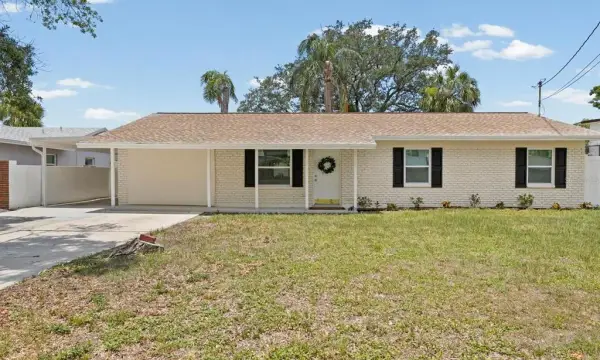 4928 Shetland Avenue, Tampa, FL, 33615