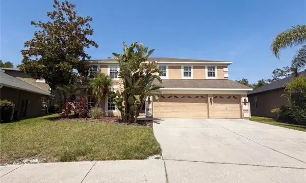 3518 Braemar Street, Land O Lakes, FL, 34638