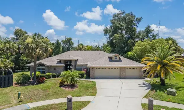 2899 Turtle Terrace, Palm Harbor, FL, 34683
