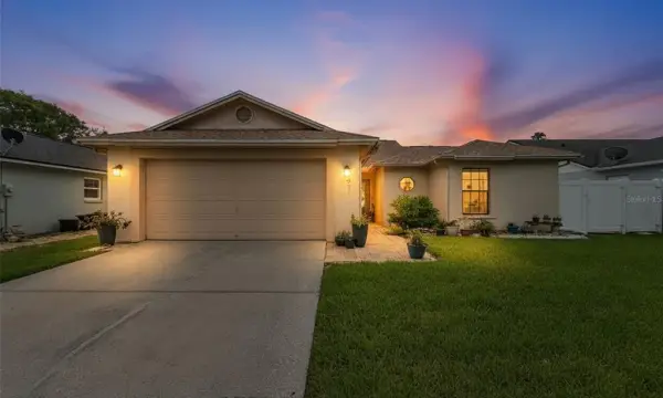 8715 Hampden Drive, Tampa, FL, 33626