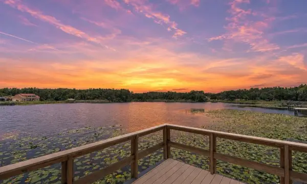 2459 Shorewood Lane, Land O Lakes, FL, 34639