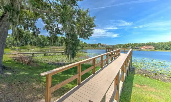 2459 Shorewood Lane, Land O Lakes, FL, 34639