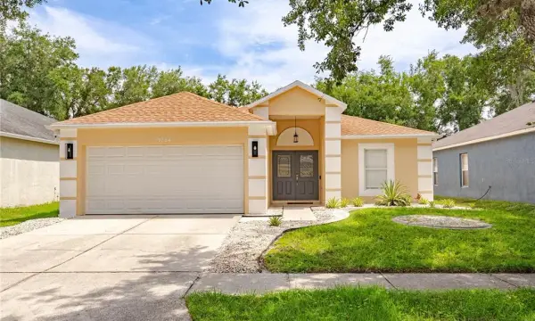 19204 Wood Sage Drive, Tampa, FL, 33647