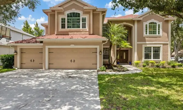4151 La Salle Drive, Palm Harbor, FL, 34685