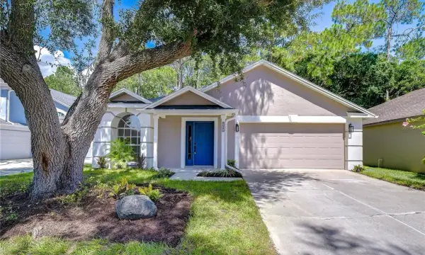 8545 Manassas Road, Tampa, FL, 33635