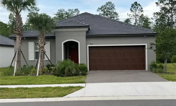 9760 Minnow Ray Drive, Land O Lakes, FL, 34638