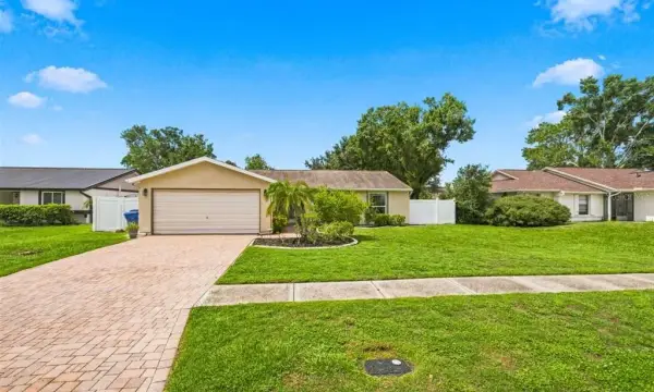 5309 Black Pine Drive, Tampa, FL, 33624