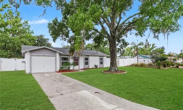 22630 Newfield Court, Land O Lakes, FL, 34639