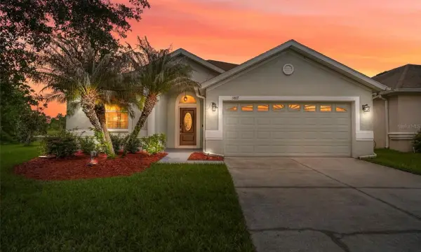3817 Langdrum Drive, Wesley Chapel, FL, 33543
