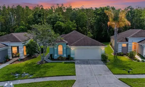 5526 Gallant Fox Court, Wesley Chapel, FL, 33544