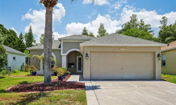 1628 Crossvine Court, Trinity, FL, 34655
