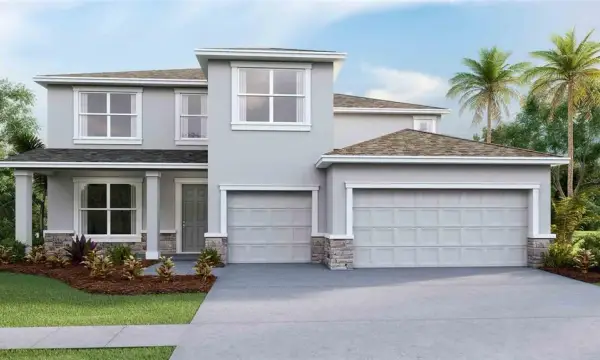 32661 Duluth Drive, Wesley Chapel, FL, 33543