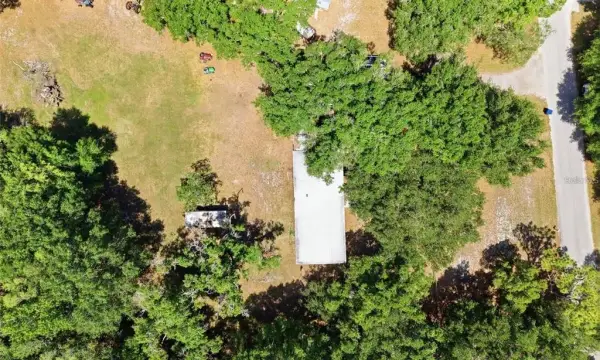 17214 Chinaberry Road, Lutz, FL, 33558