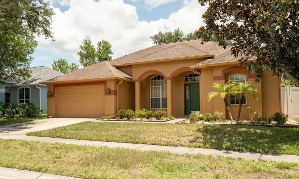 10501 Ashley Oaks Drive, Riverview, FL, 33578