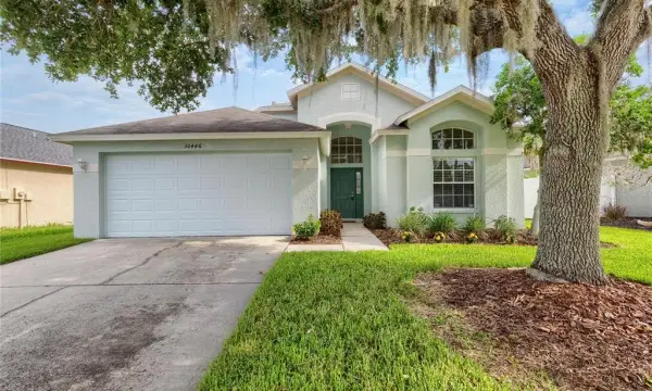 30446 Tremont Drive, Wesley Chapel, FL, 33543