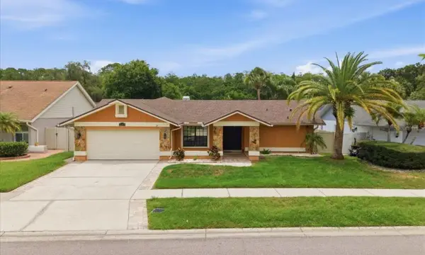 11803 Sweetpea Court, Tampa, FL, 33635