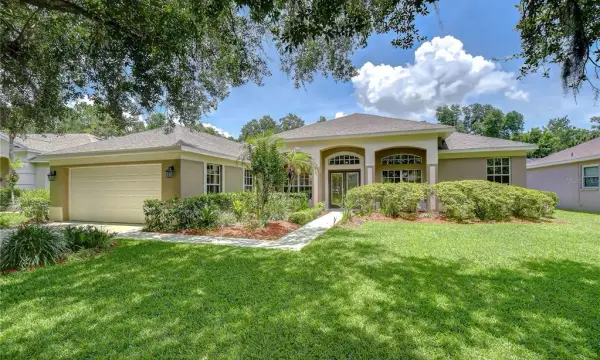 3512 Cordgrass Drive, Valrico, FL, 33596