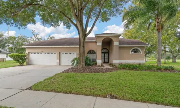 684 Samantha Drive, Palm Harbor, FL, 34683
