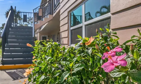 216 36th Avenue N, Unit 202b, St Petersburg, FL, 33704