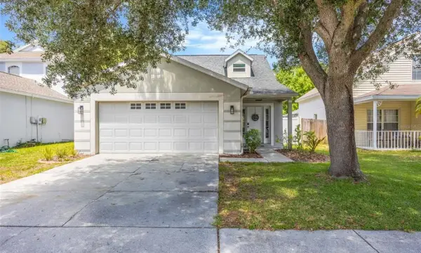 8427 Hawbuck Street, Trinity, FL, 34655