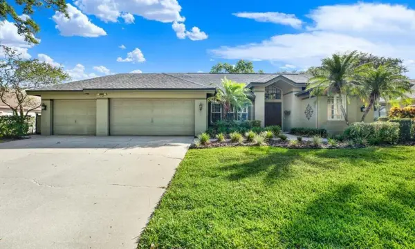 631 House Wren Circle, Palm Harbor, FL, 34683
