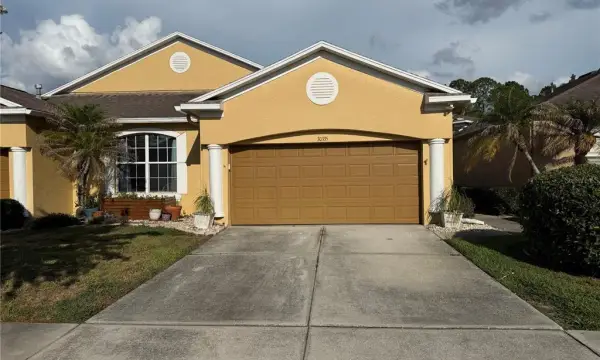 30335 Lettingwell Circle, Wesley Chapel, FL, 33543