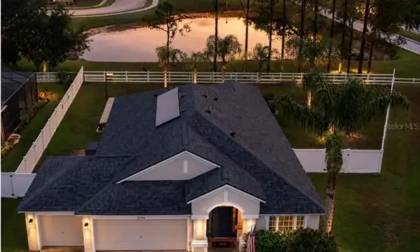 20744 Orchardtown Drive, Land O Lakes, FL, 34638