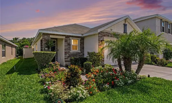 11453 Stone Pine Street, Riverview, FL, 33569