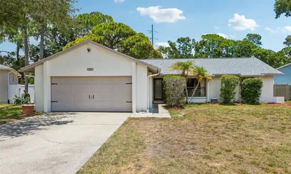 6805 Longpointe Way, Tampa, FL, 33615