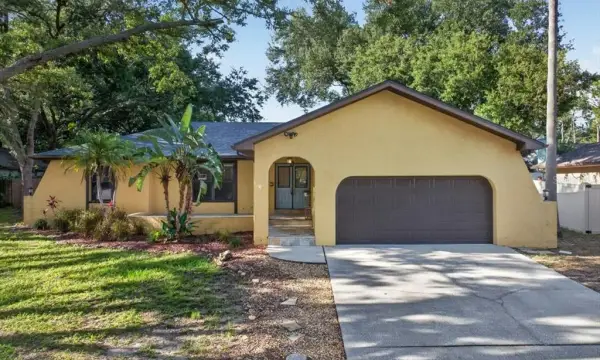 2883 Mandarin Place, Palm Harbor, FL, 34684