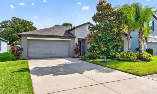 3716 Cat Mint Street, Tampa, FL, 33619