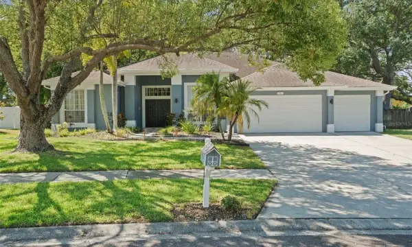 751 House Wren Circle, Palm Harbor, FL, 34683