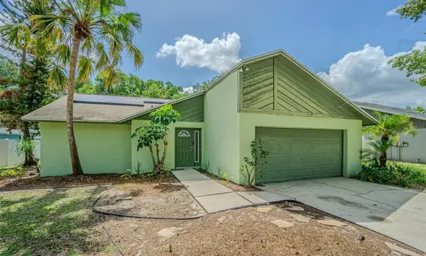 18425 Swan Lake Drive, Lutz, FL, 33549