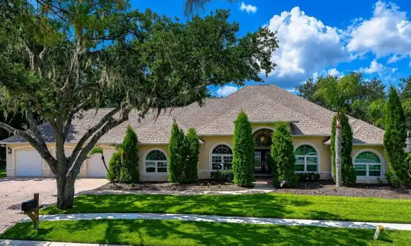 1009 Emerald Creek Drive, Valrico, FL, 33596