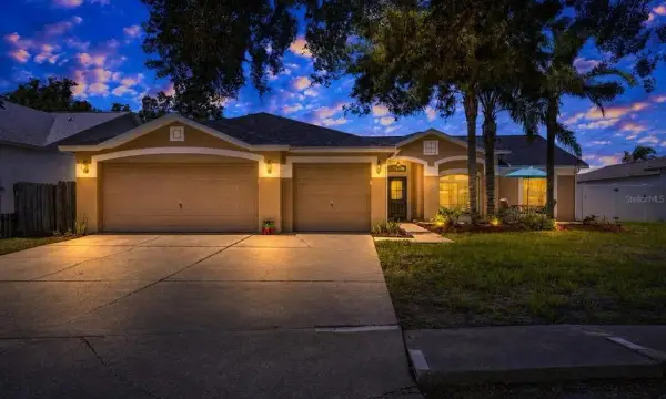 10313 Tarragon Drive, Riverview, FL, 33569