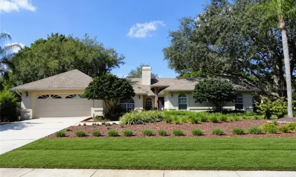 18106 Fairmead Court, Lutz, FL, 33548