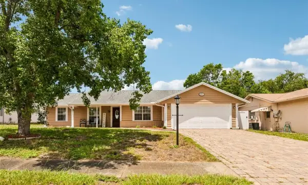 11033 Salt Tree Drive, Port Richey, FL, 34668