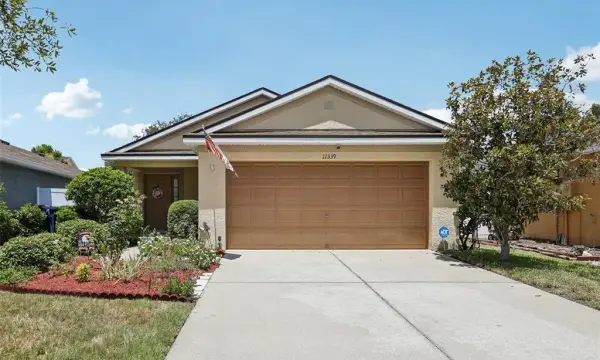 11339 Palm Island Avenue, Riverview, FL, 33569