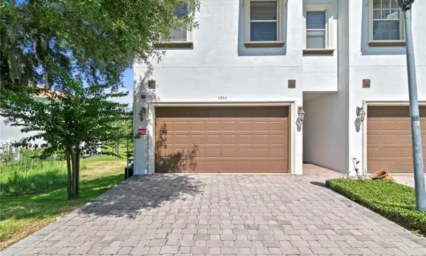 11504 Bellamar Street, Tampa, FL, 33637